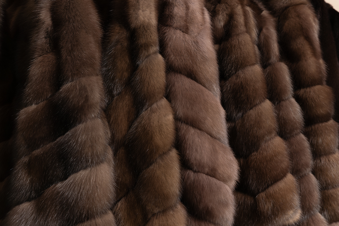 Коллекция соболя 2025-2026